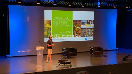 Layar Proyeksi Bermotor Besar 350 inci Dengan RF Remote Control